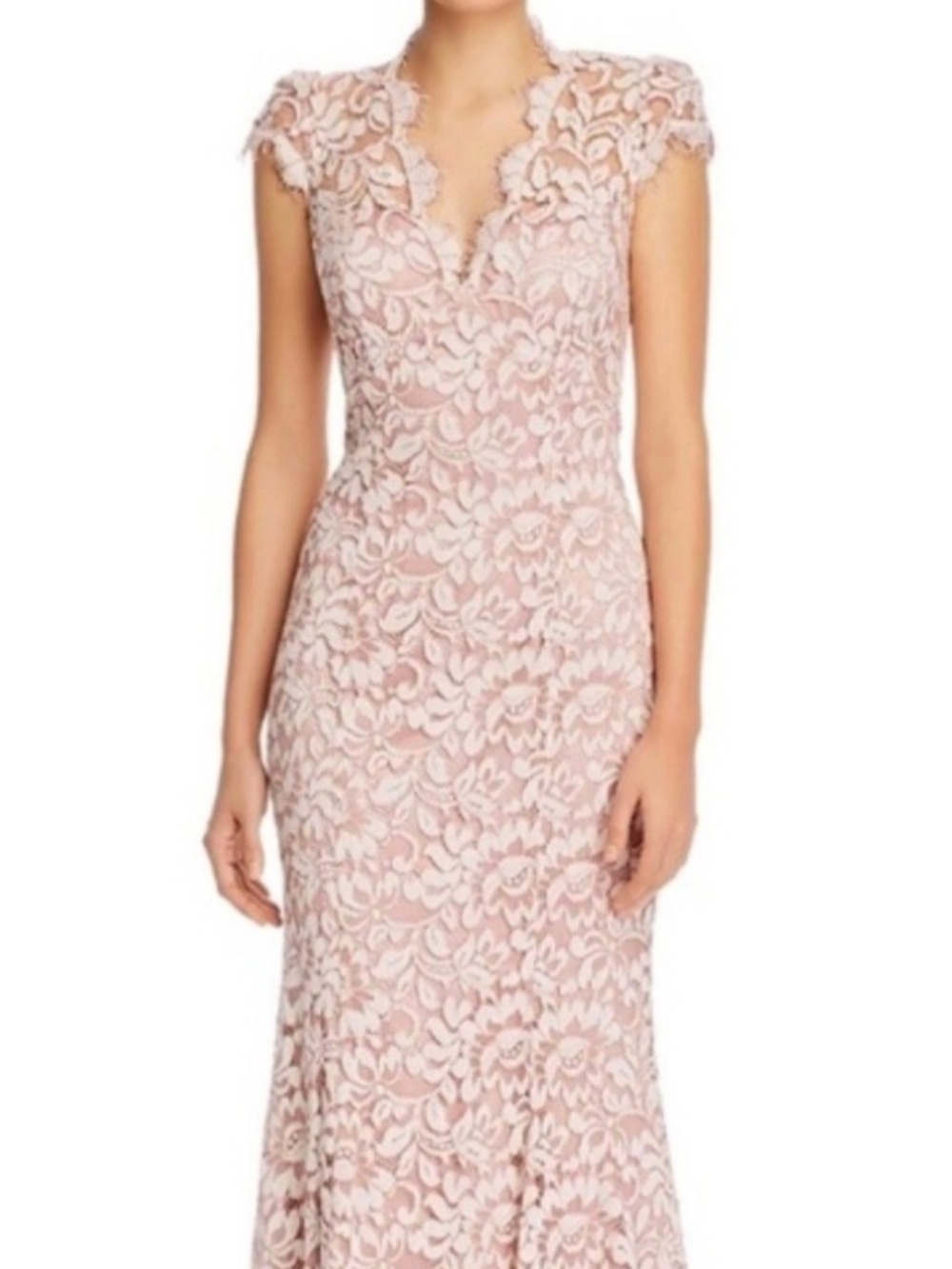 NWT Eliza J Scalloped-Edge Lace Gown Dress Blush light pink